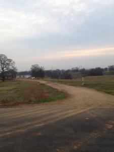 driveway (before).JPG